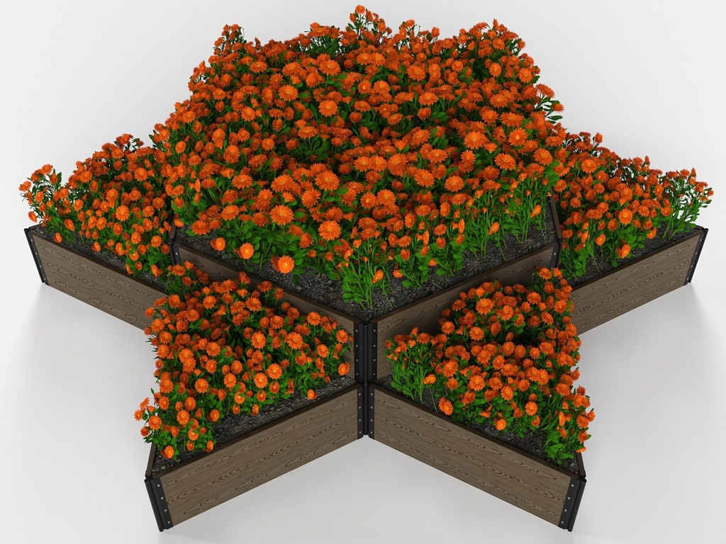 Вечные грядки