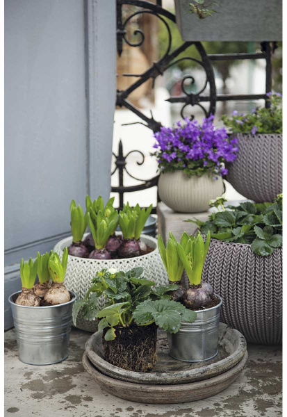 Кашпо для цветов