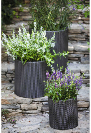 Кашпо для цветов