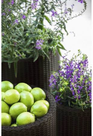 Кашпо для цветов