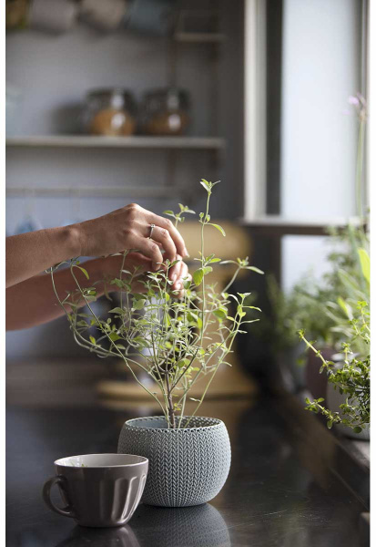 Кашпо для цветов