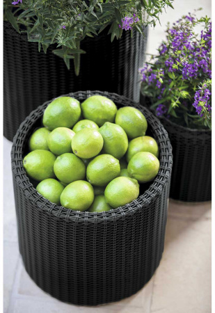 Кашпо для цветов