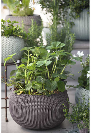 Кашпо для цветов