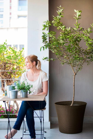 Кашпо для цветов