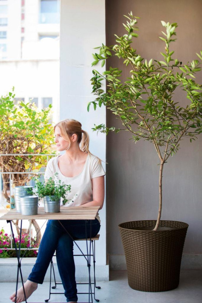 Кашпо для цветов