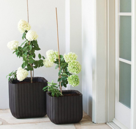 Кашпо для цветов