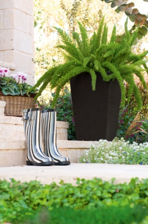 Кашпо для цветов