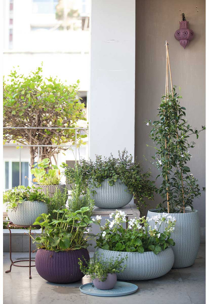 Кашпо для цветов